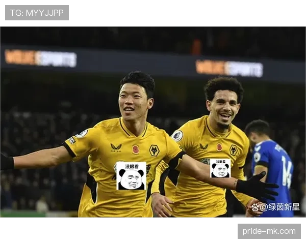 非洲球员闪耀英超赛场,持续助力球队冲击冠军荣耀 非洲球员闪耀英超赛场,持续助力球队冲击冠军荣耀